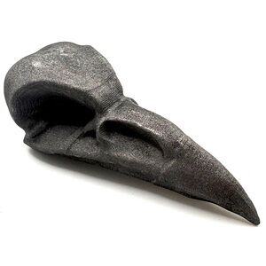 Shungite Crystal Raven Skull Carving